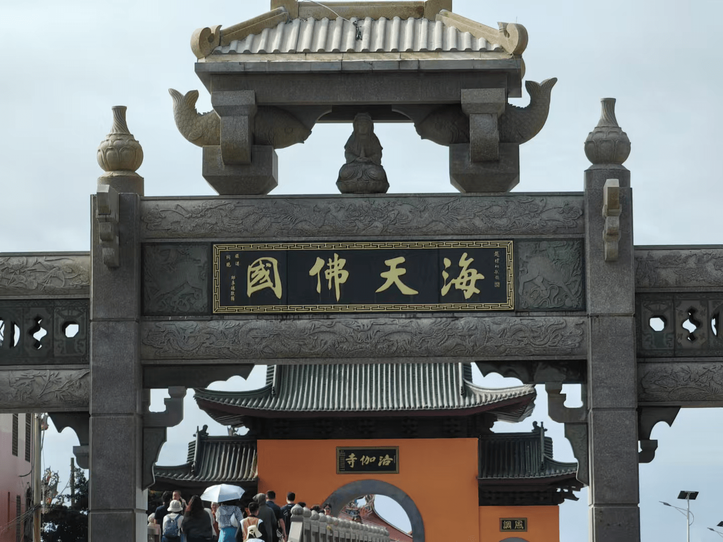 image-20241020225540742